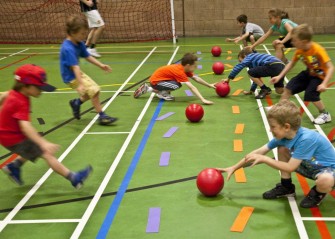 Physical education and physical activity – combatting the cultural shift